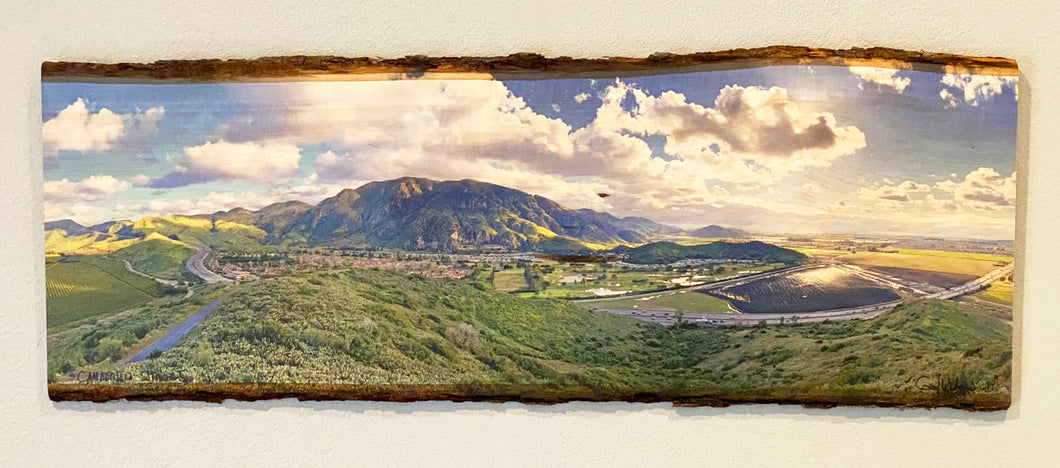 Camarillo Springs community printed on live edge wood.