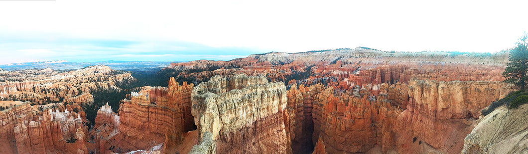 Panoramic Bryce Canyon, UT printed on natural pine wood.
